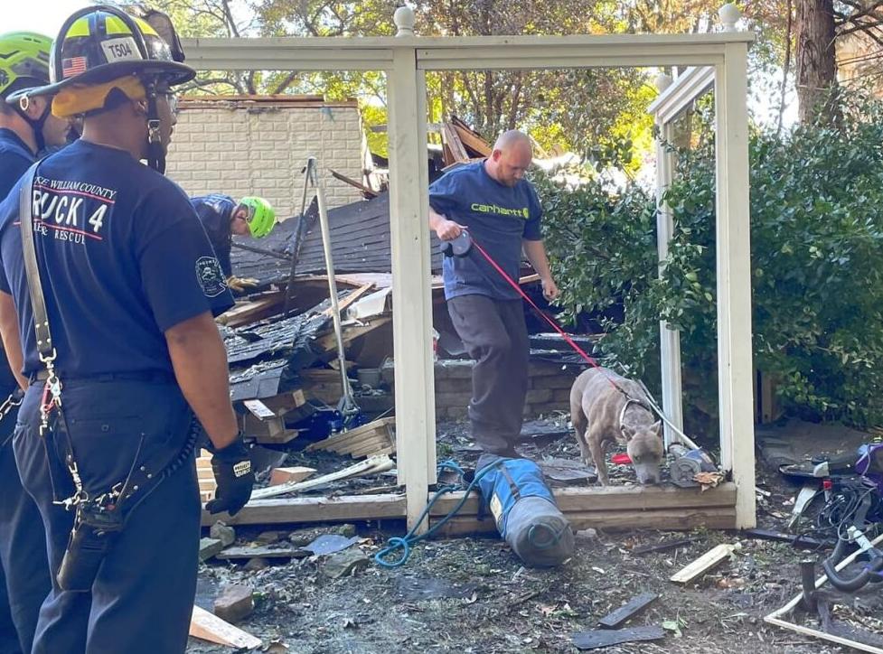 dog rescued rubble haymarket2.jpg